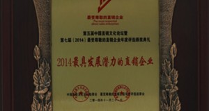 最具發(fā)展?jié)摿Φ闹变N(xiāo)企業(yè)