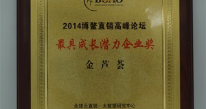 最具成長(zhǎng)潛力企業(yè)獎(jiǎng)
