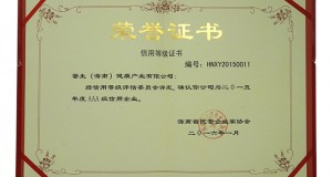 信用等級(jí)證書(shū)